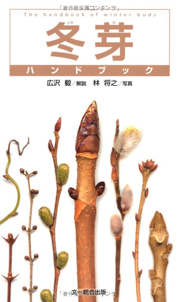 冬芽ハンドブック | 広沢 毅, 林 将之 |本 | 通販 | Amazon